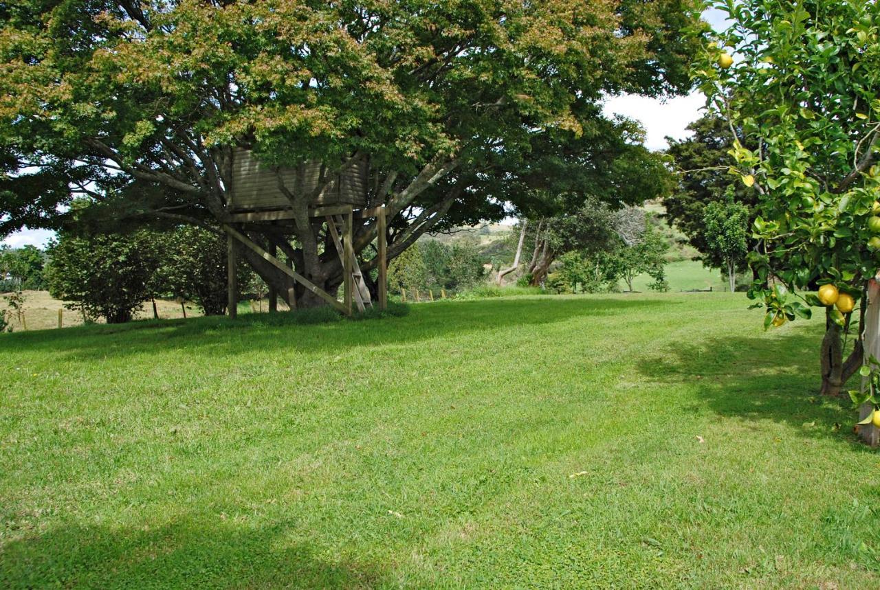 Poripori Homestead Tauranga Extérieur photo